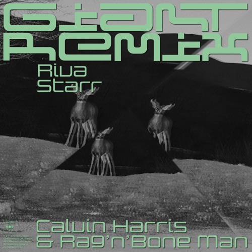 Giant (Riva Starr Tribe Vibe remix)