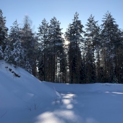 GAIA 10