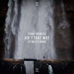 Ain't That Why (22 Bullets remix)