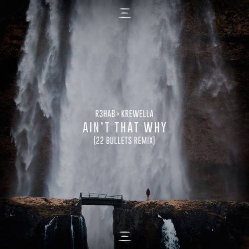 Ain't That Why (22 Bullets remix)