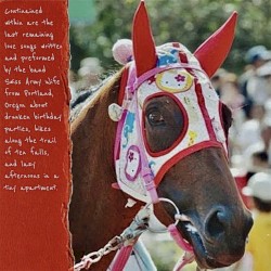 Quarter Horse