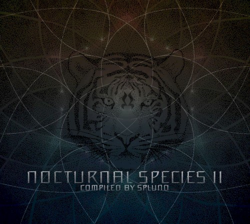 Nocturnal Species 2