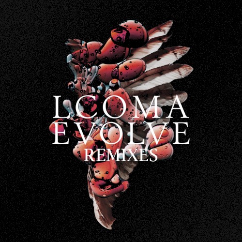 Evolve Remixes