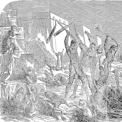 Plague of Frogs