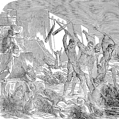 Plague of Frogs