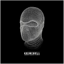 Kriminell 2.0