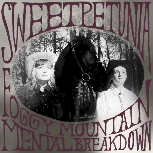 Foggy Mountain Mental Breakdown