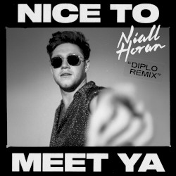 Nice to Meet Ya (Diplo remix)