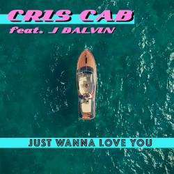 Just Wanna Love You