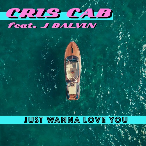 Just Wanna Love You