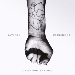 Surrender (Trentemøller remix)