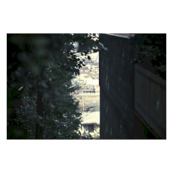 そこない
