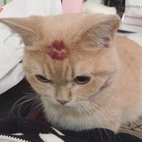 lipstick