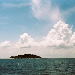 élevage