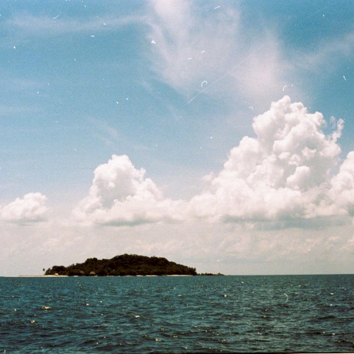 élevage