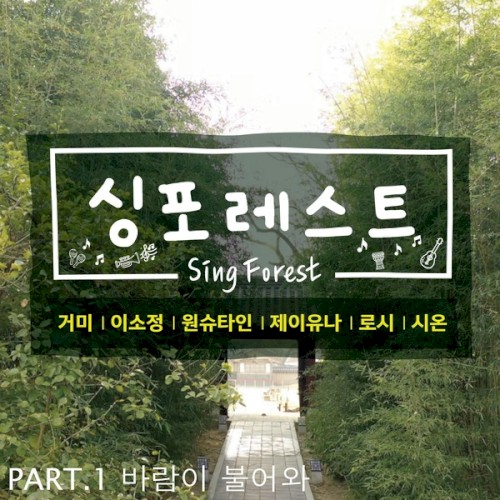 싱포레스트 Part.1