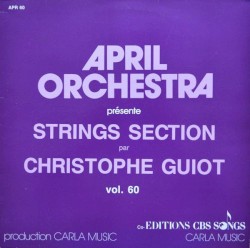 Strings Section