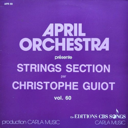 Strings Section
