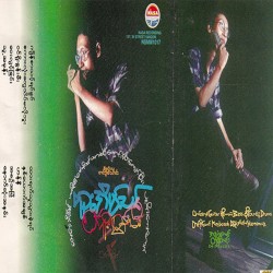 ဝင်ရိုးစွန်းမီး