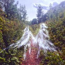 Beamorose