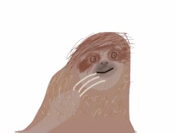 Sloth Dream