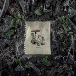 Amanita
