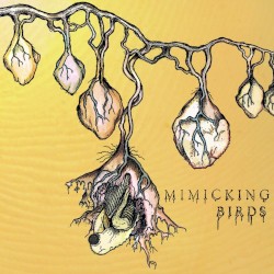 Mimicking Birds