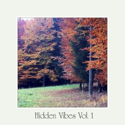 Hidden Vibes Vol. 1