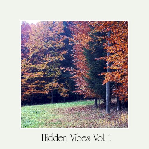 Hidden Vibes Vol. 1