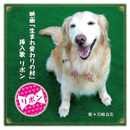 リボン