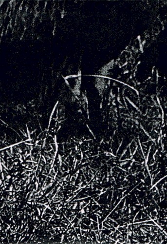 Black for Blood (Demo XXIV)