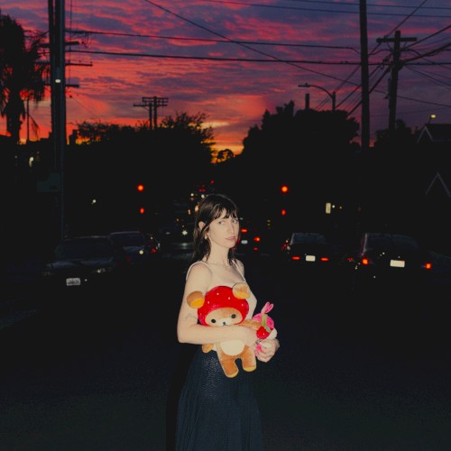 Anthems for a Seventeen Year‐Old Girl