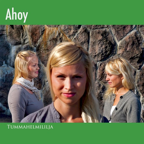 Tummahelmililja