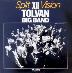 Split Vision