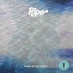 Noise in the Forest (acoustic)