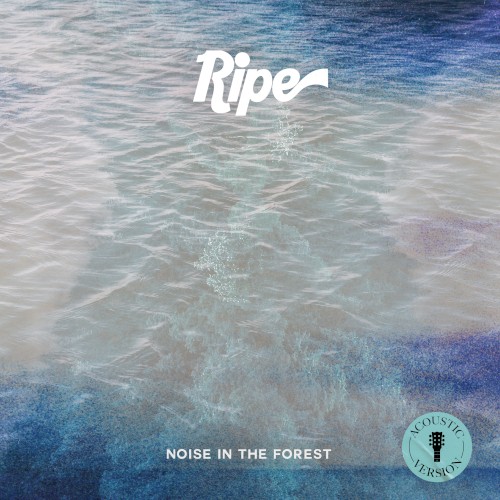 Noise in the Forest (acoustic)