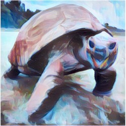 Jonathan Tortoise
