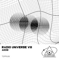 Radio Universe VIII