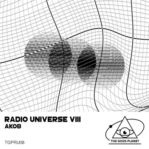 Radio Universe VIII