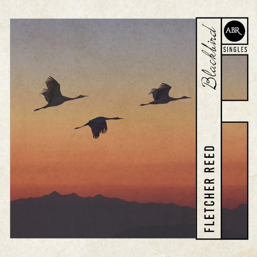 Blackbird