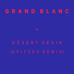 Désert Désir (Spitzer Remix)