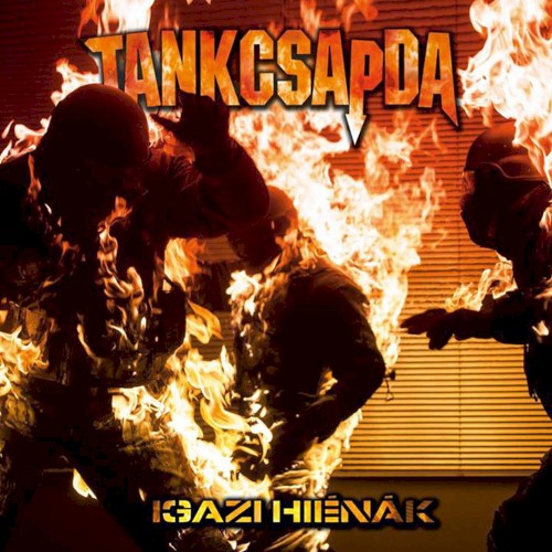 Igazi Hiénák