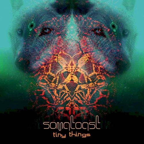 Tiny Things (DRRTYWULVZ Remix)