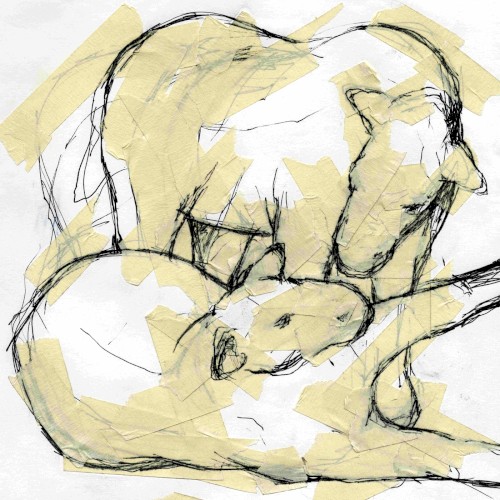 powerdove EP