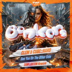 See You on the Other Side (Sam Laxton Schranz rework)
