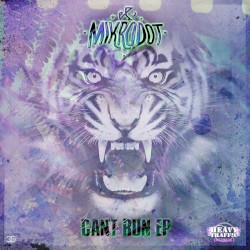 Can’t Run EP