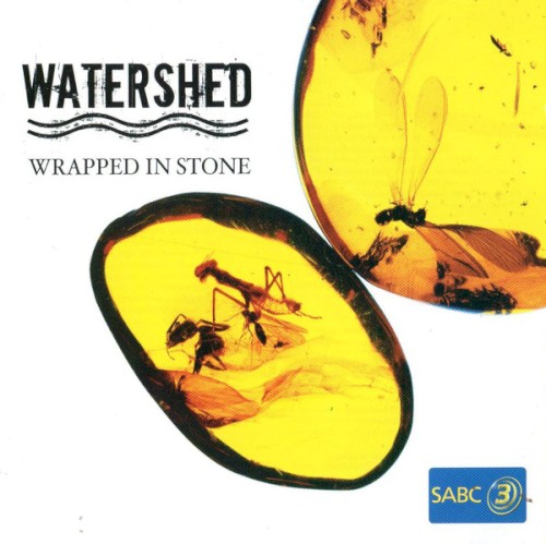 Wrapped in Stone