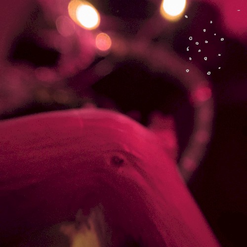 kajulalozu