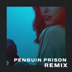 Down Low (Penguin Prison remix)