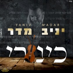 כינורי